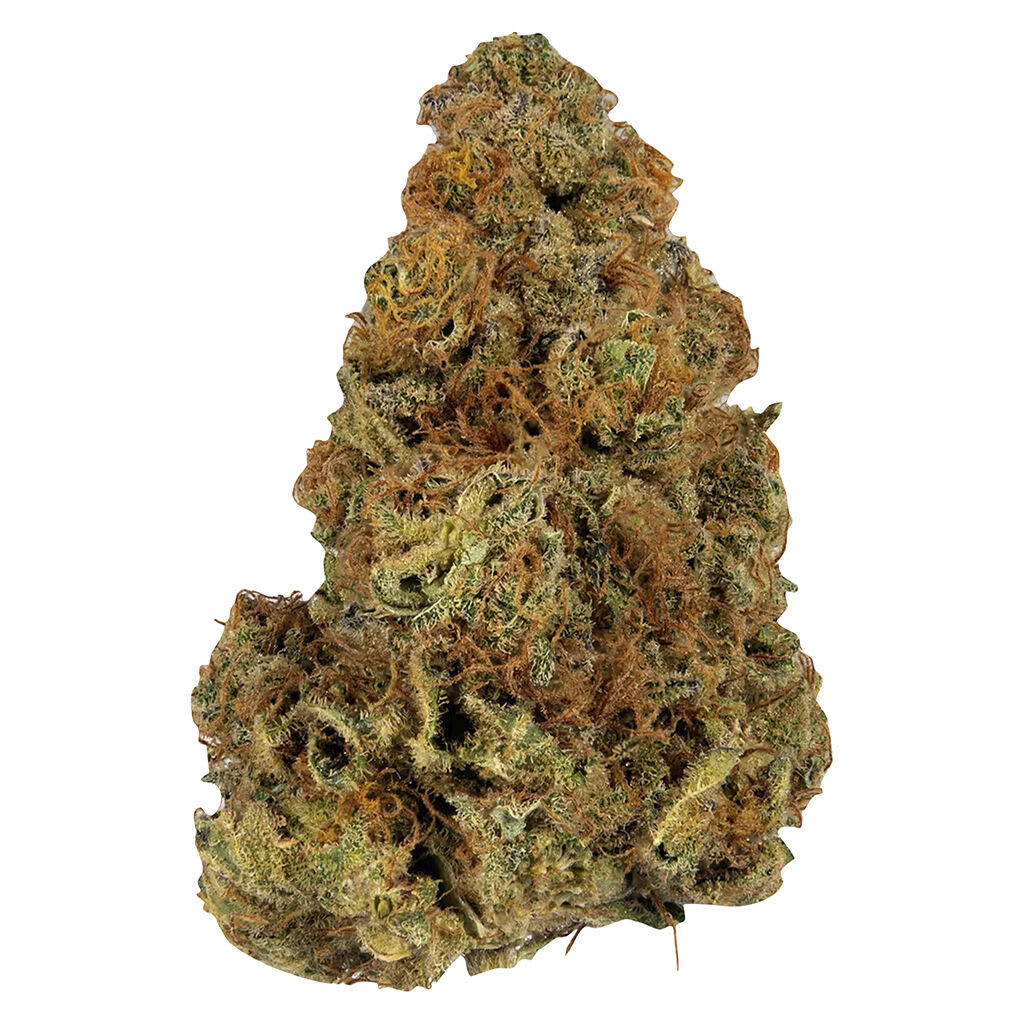 Weed Me Gassy Treasure