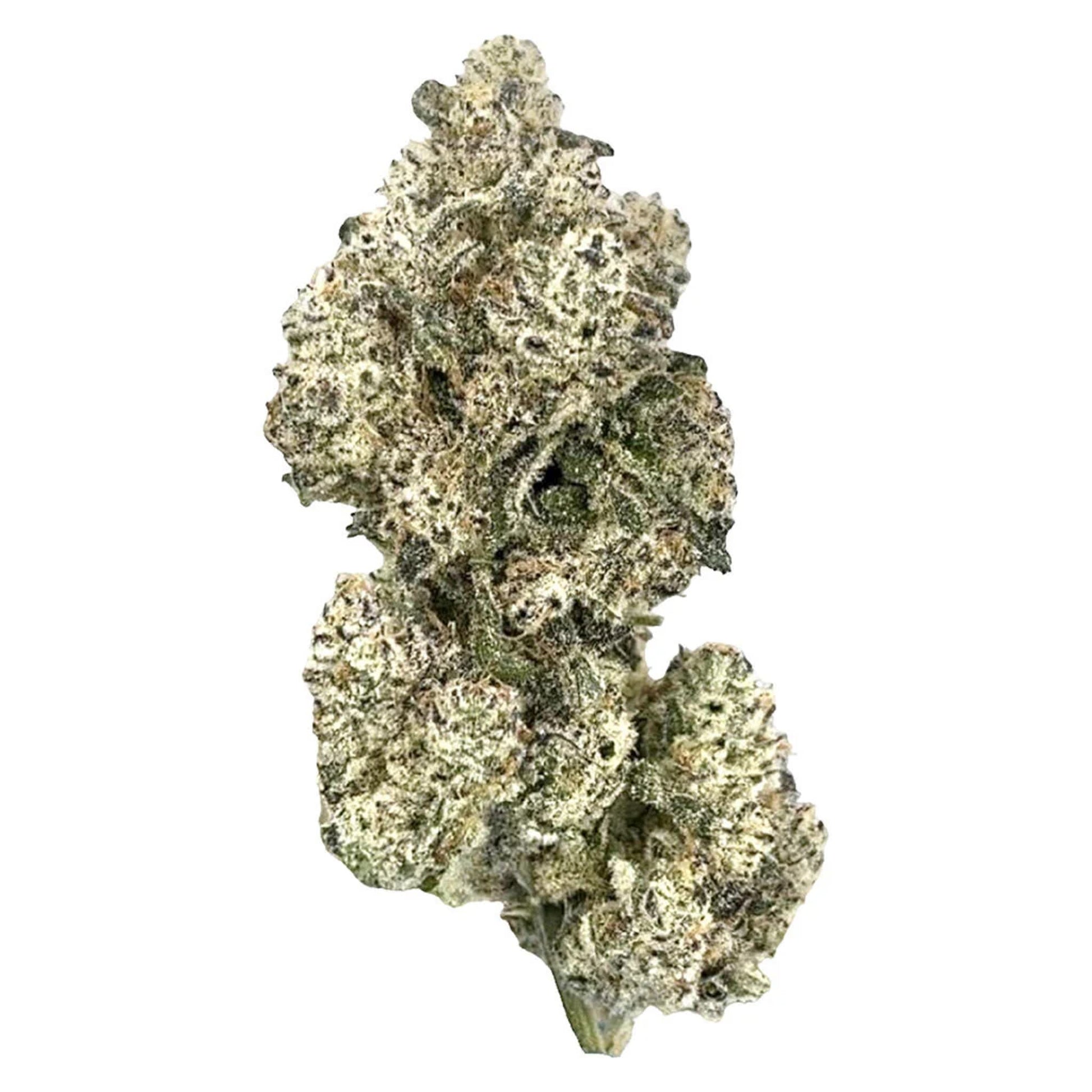 HighXotic Royal Dive #5: Purple Zombie | Smokey's