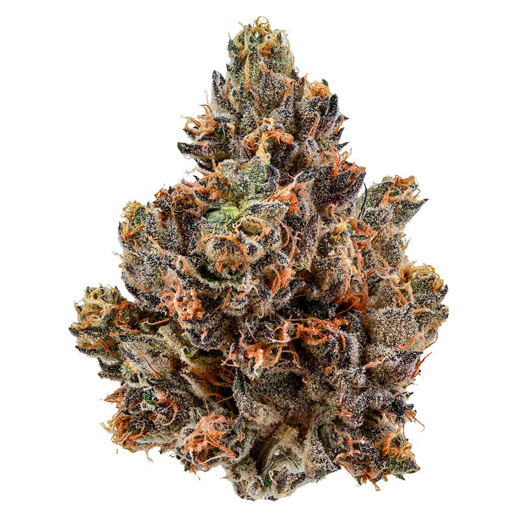 Cheers Polar Blaze | Smokey's