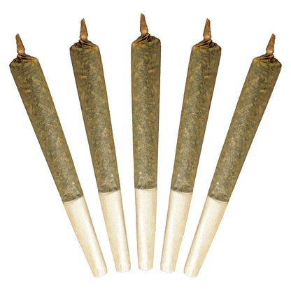 Buddy Blooms Big Buddy Pre-Roll | Smokey's