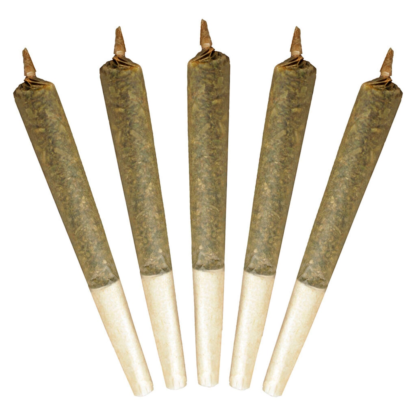 Buddy Blooms Big Buddy Pre-Roll | Smokey's