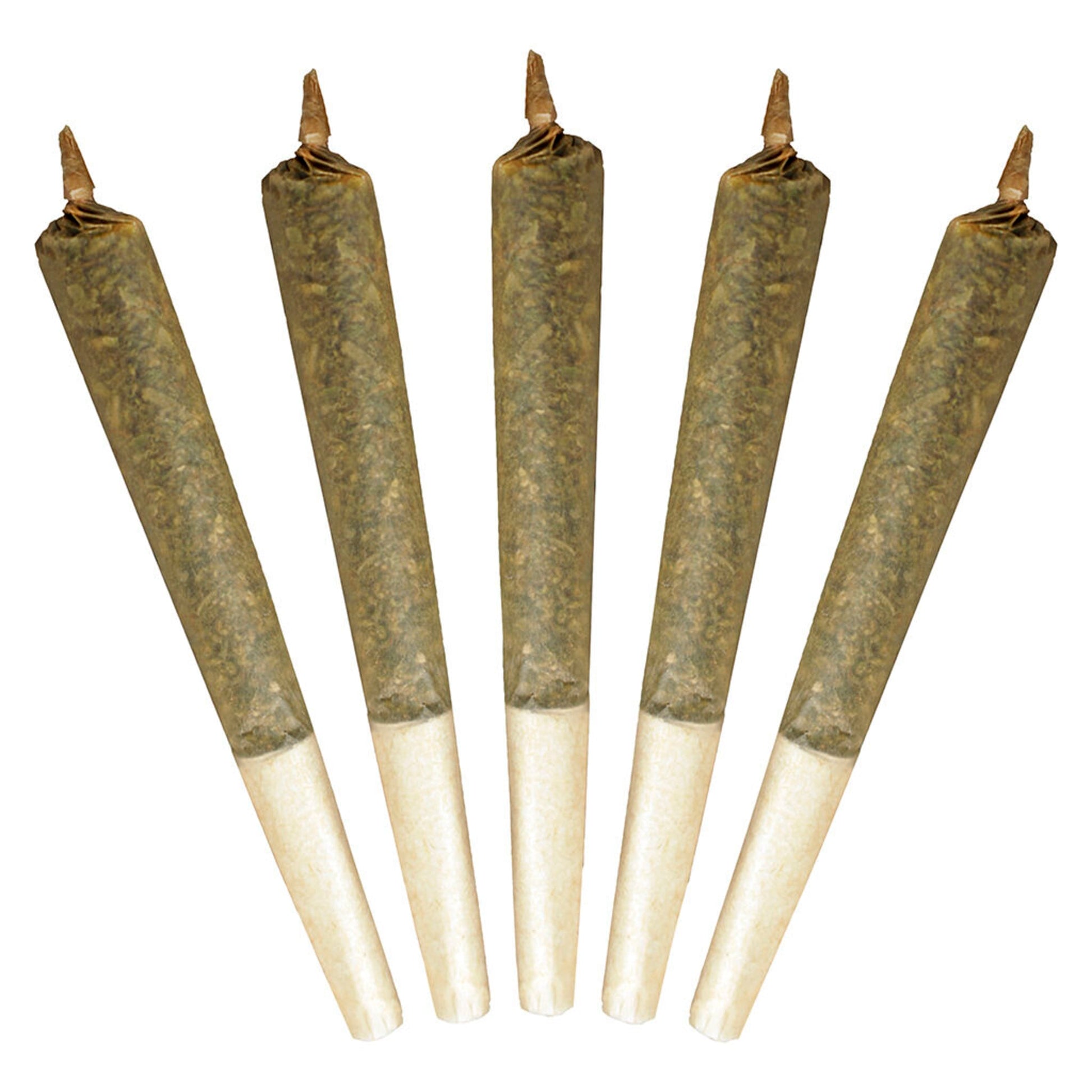 Buddy Blooms Big Buddy Pre-Roll | Smokey's