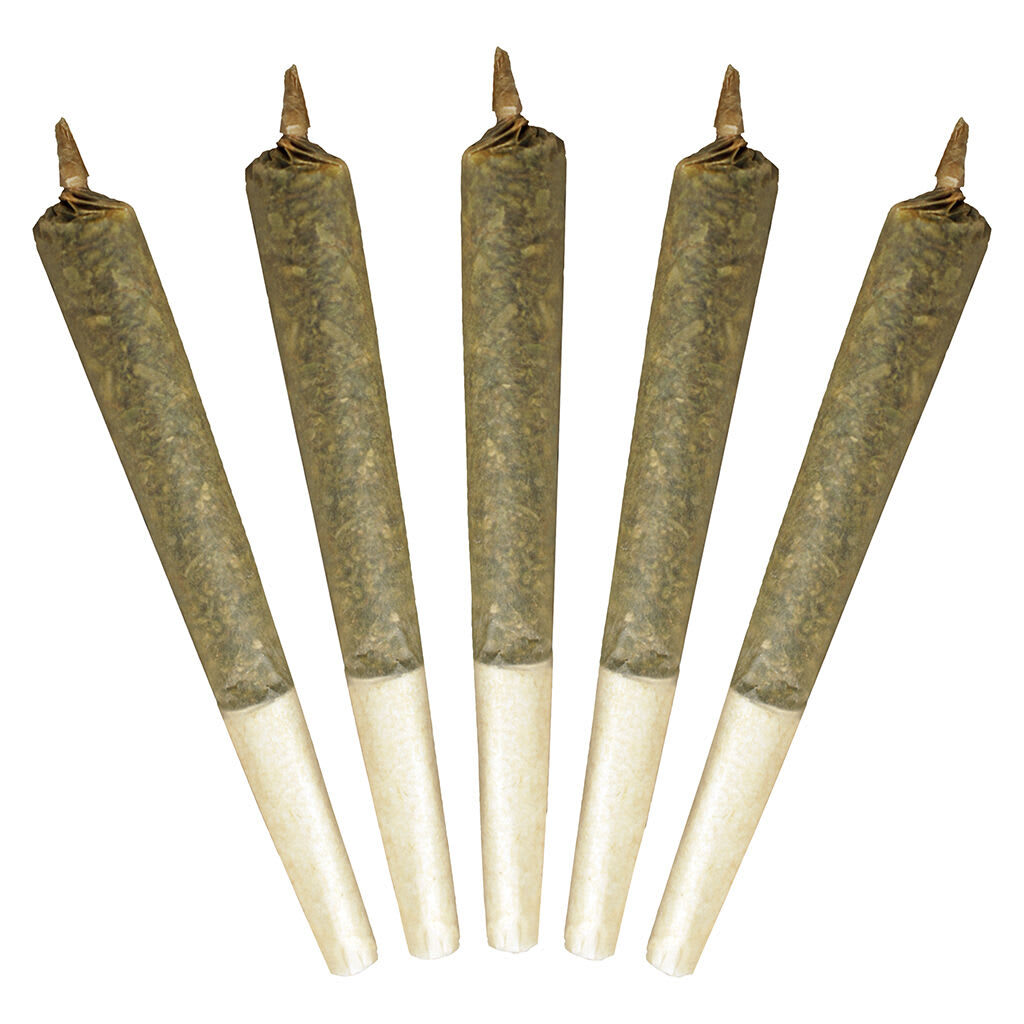 Buddy Blooms Big Buddy Pre-Roll | Smokey's
