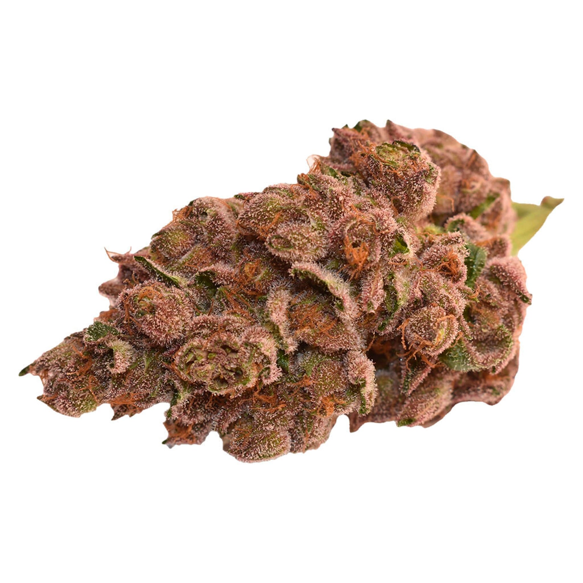 Thumbs Up Day & Night | Smokey's