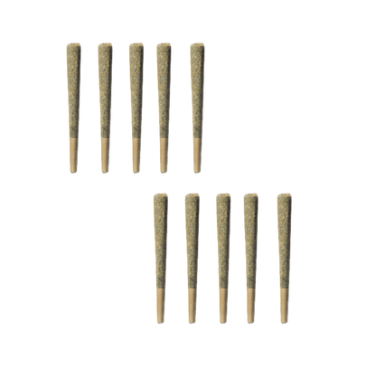 November Rain Midnight Kruntz Pre-Roll | Smokey's