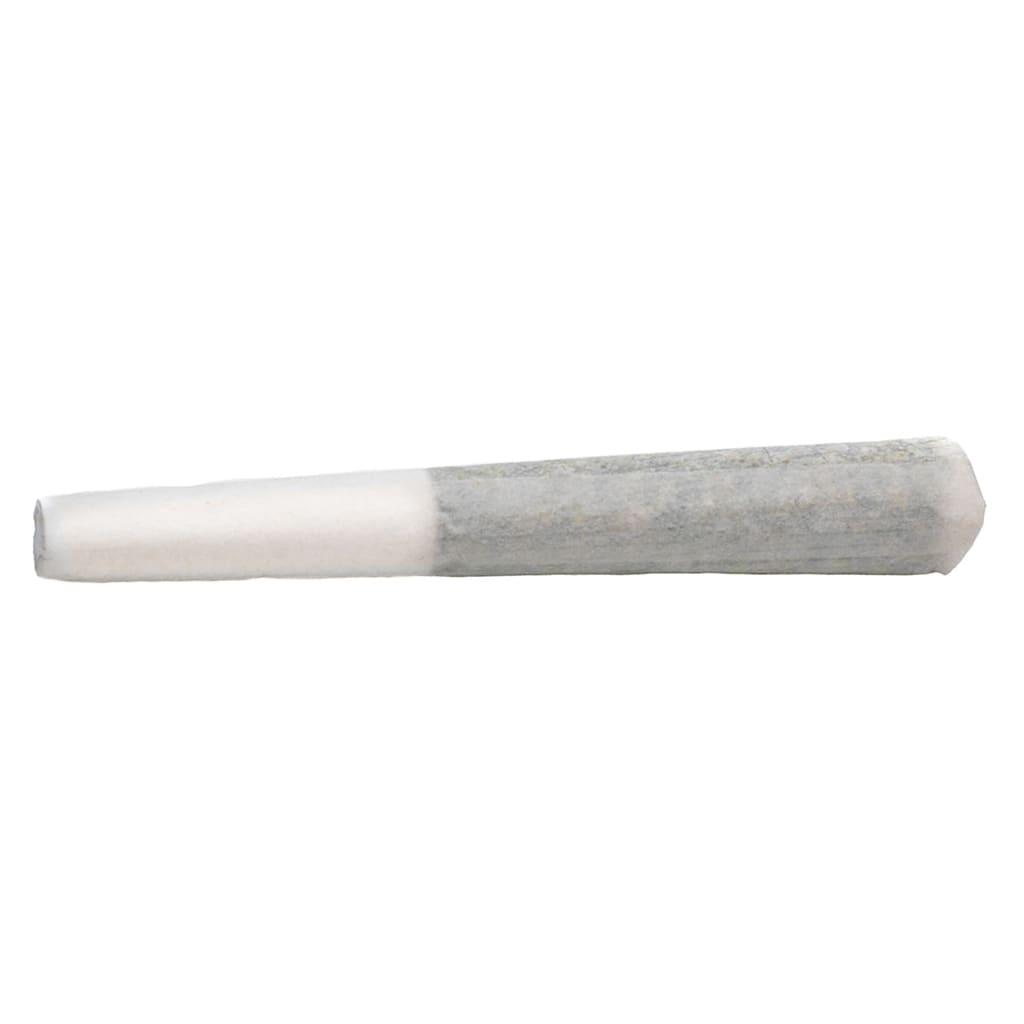 BOLD Root Beer Float Pre-Roll | Smokey's