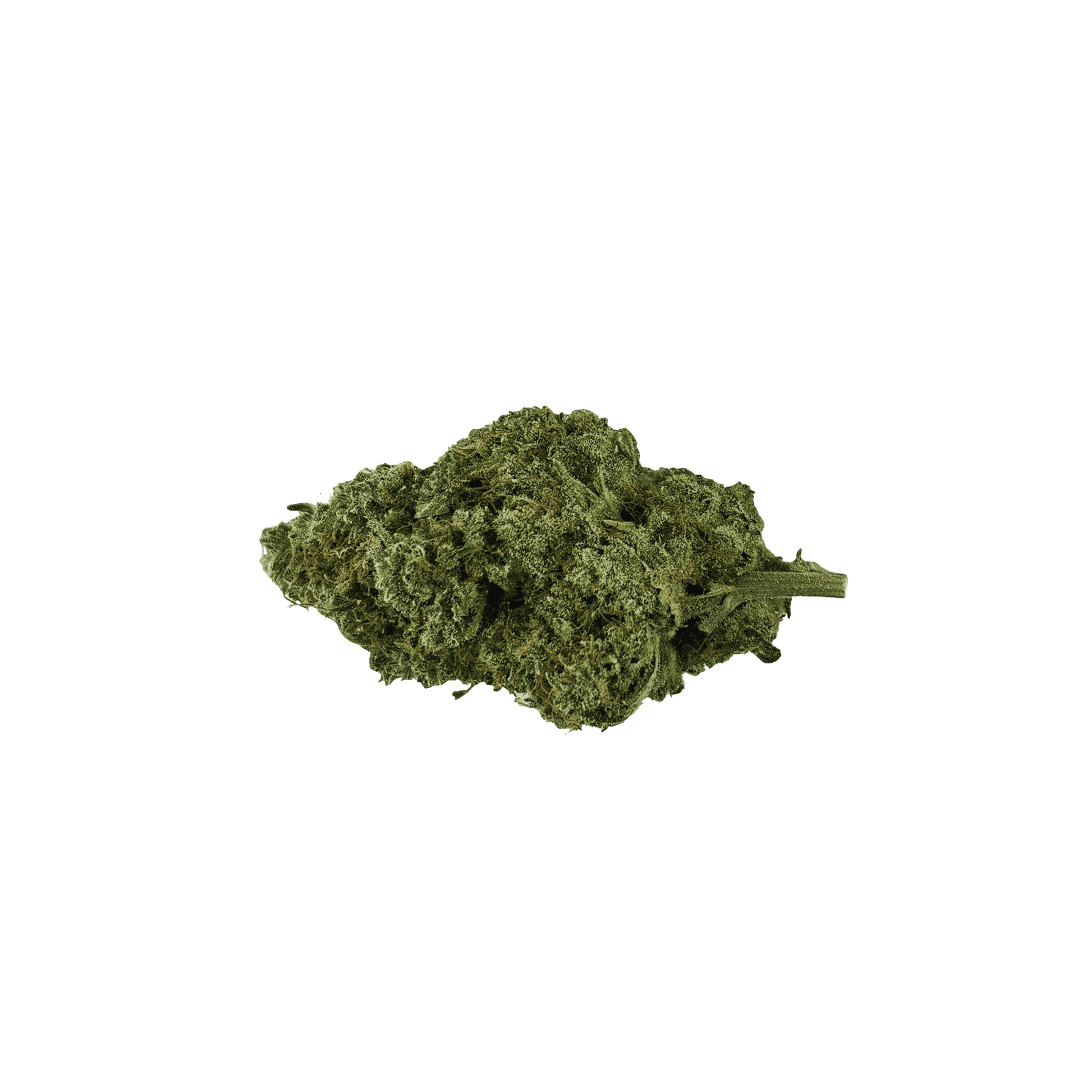 Canadian Organic Mango Hashplant | Smokey's