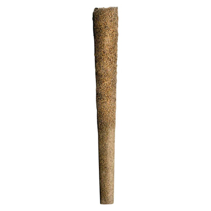 Coterie Tangerine Live Resin and Kief Coated Infused Blunt | Smokey's