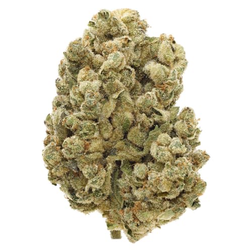 San Rafael '71 Sourdough