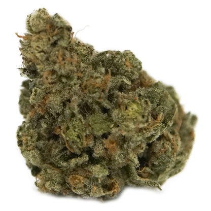 The Loud Plug Exotic Gas