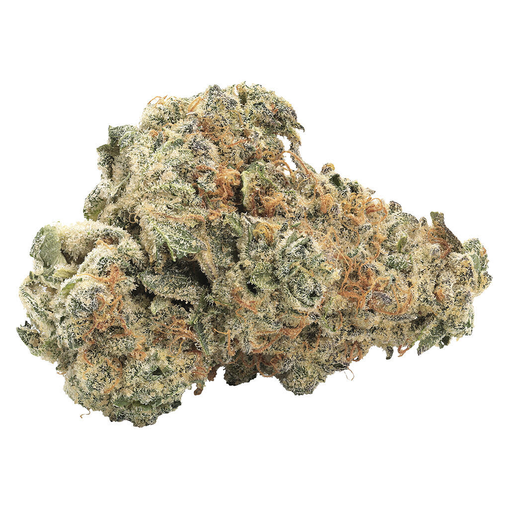 Big Bag O' Buds GMO Kush