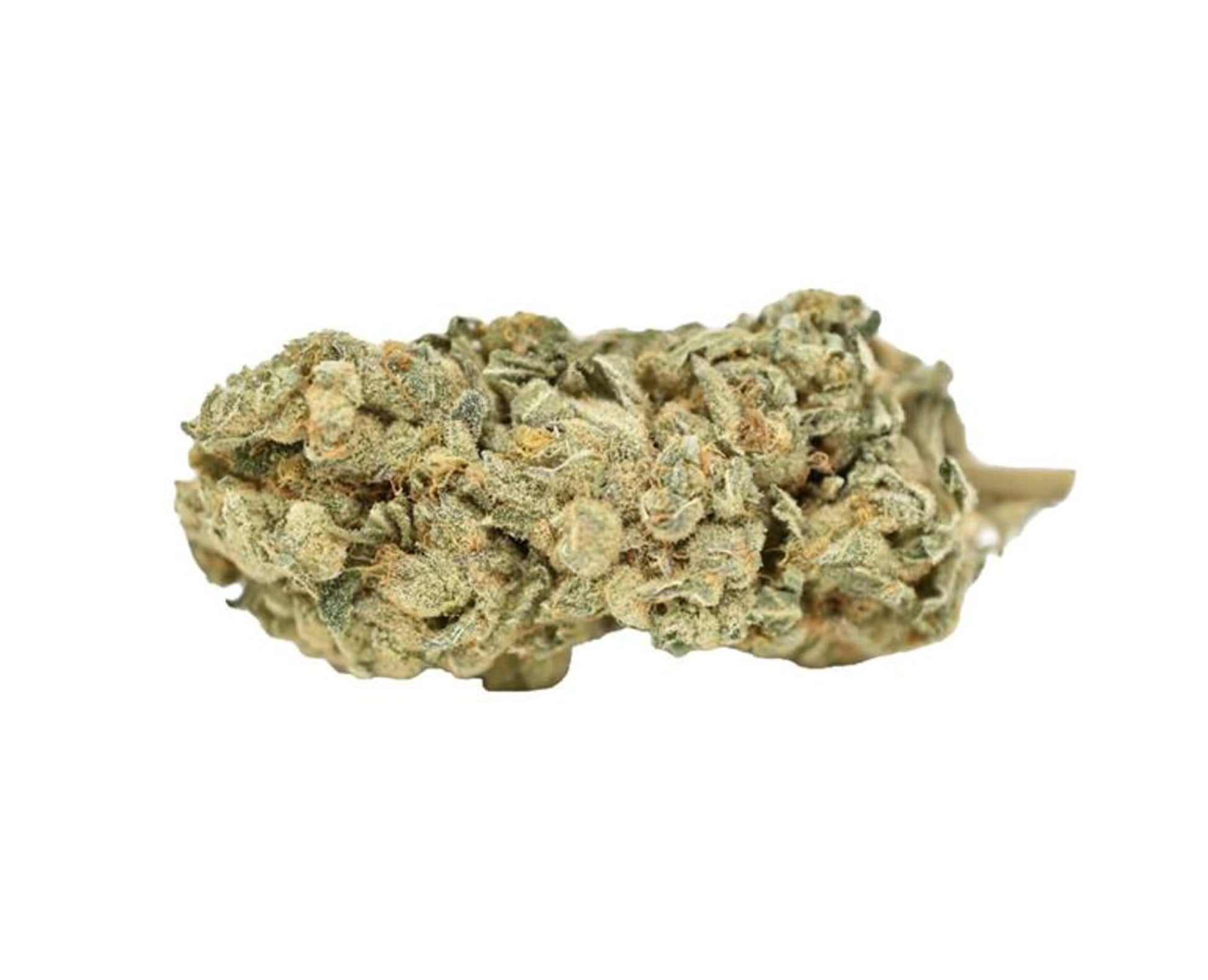 Weed Me Blue Iguana | Smokey's