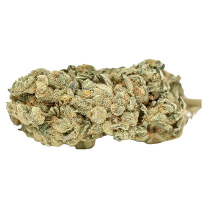 Weed Me Blue Iguana | Smokey's