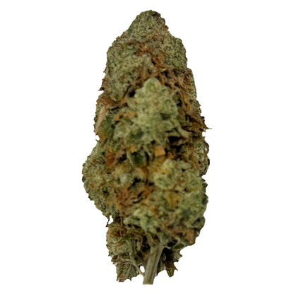 Puffer's Paradise Magik Dragon | Smokey's