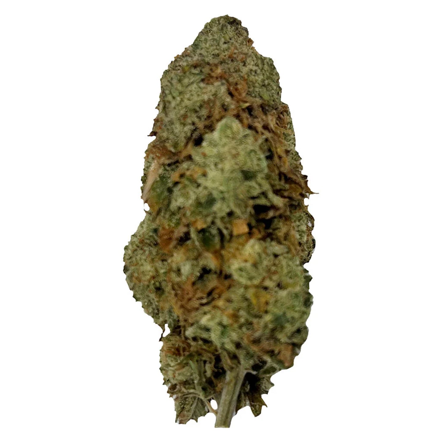 Puffer's Paradise Magik Dragon | Smokey's