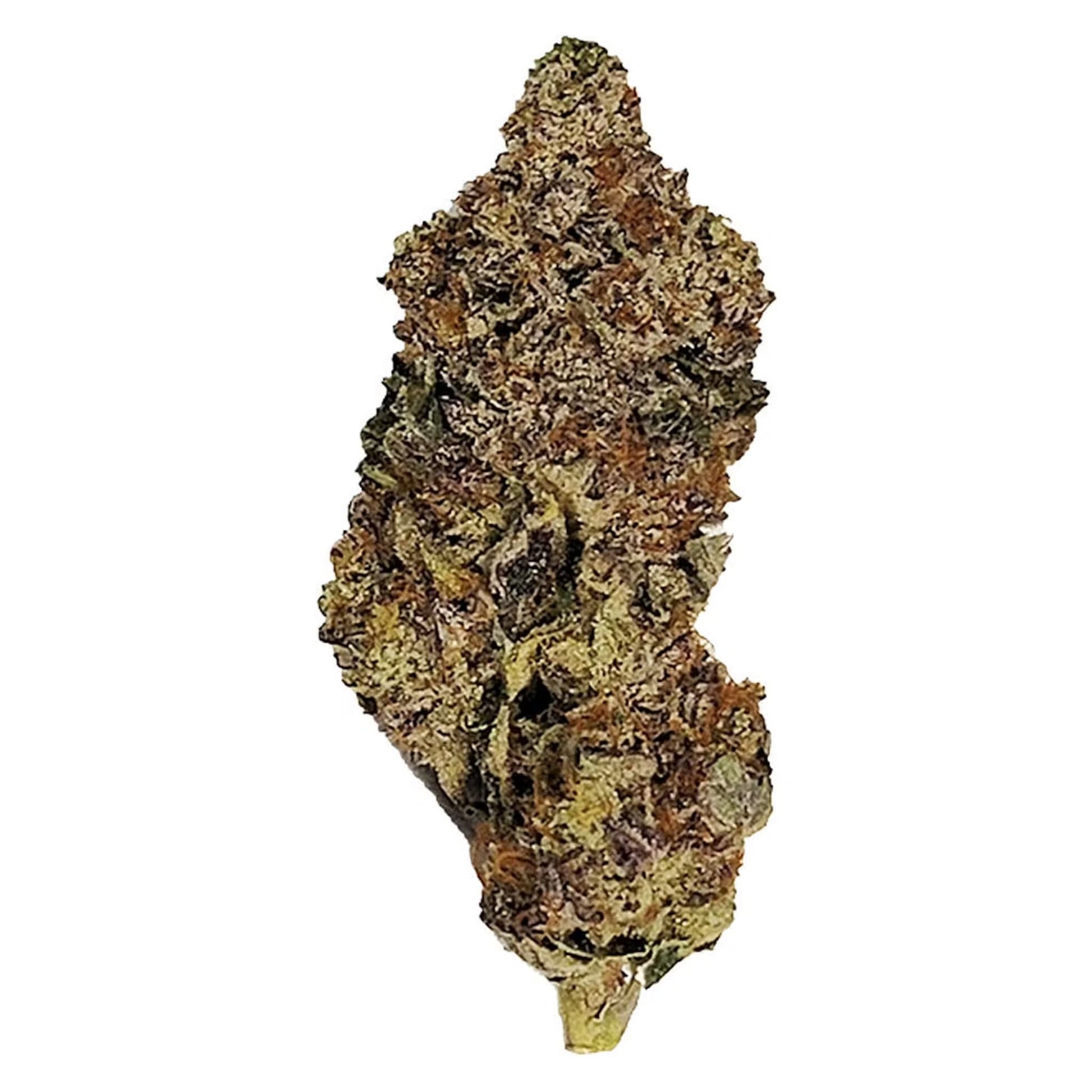 Gorilla Garden Gorilla | Smokey's