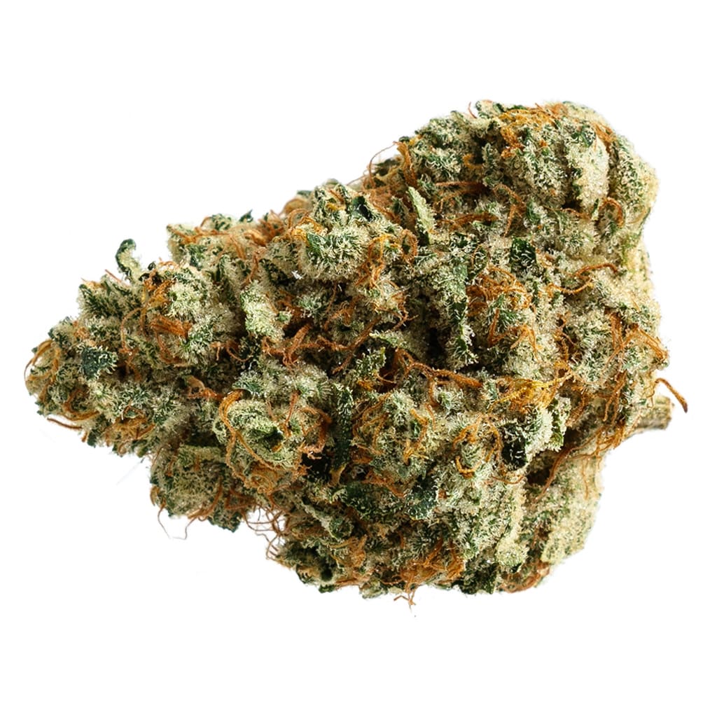 Sunfarms Ginger Dawg | Smokey's