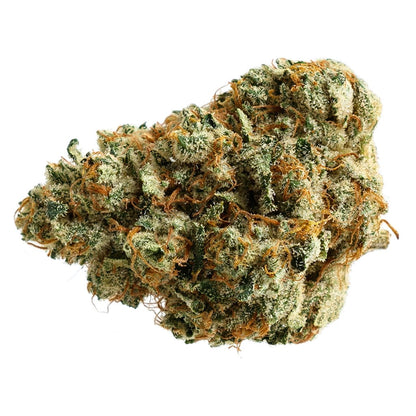 Sunfarms Ginger Dawg | Smokey's