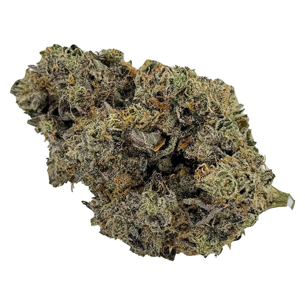 Far Out Crops Plan't of the Ganja | Smokey's