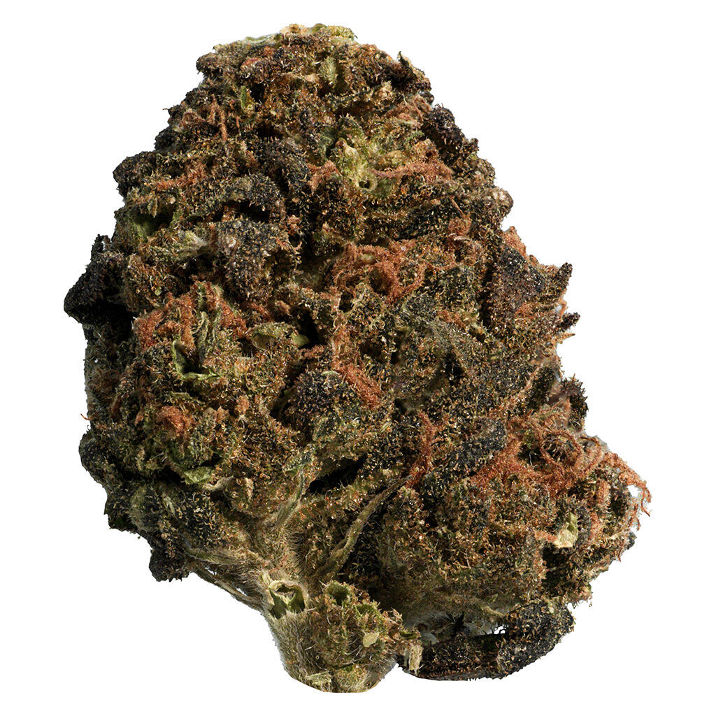 Big Steal BC Organic Sungrown Mango Sapphire | Smokey's