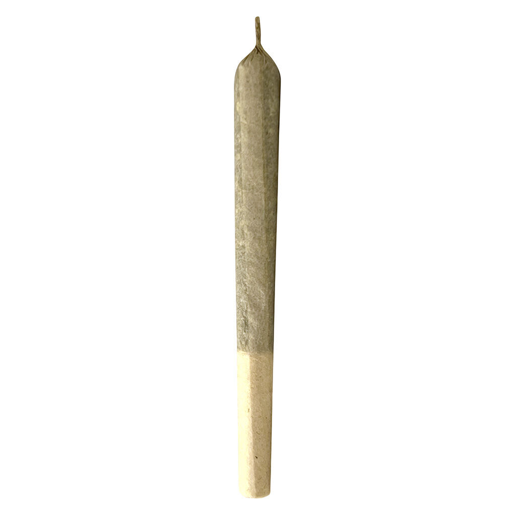 MTL Jungl' Cake Pre-Roll | Smokey's