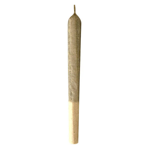MTL Jungl' Cake Pre-Roll — Smokey's | Sativa PR | Cannabis Delivery & Pickup