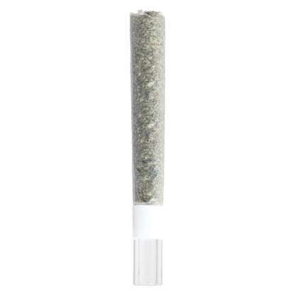 3rd Coast Genetics Pure Michigan Glass Tip Pre-Roll | Smokey's