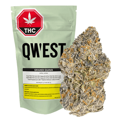 Qwest Grandi Guava