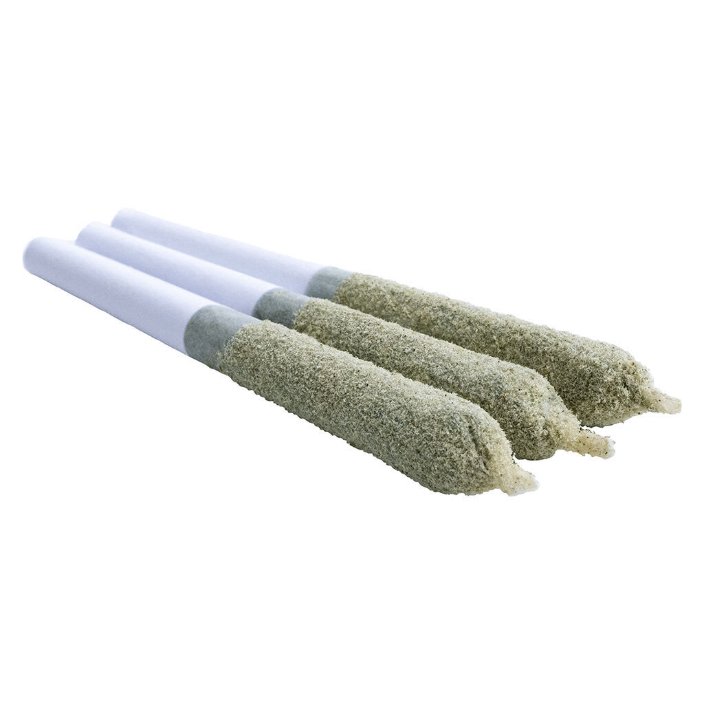 Super Toast Shark Bite Toasters DBL Infused Pre-Roll
