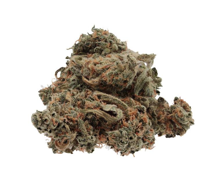 WINK Tangerine Cookies