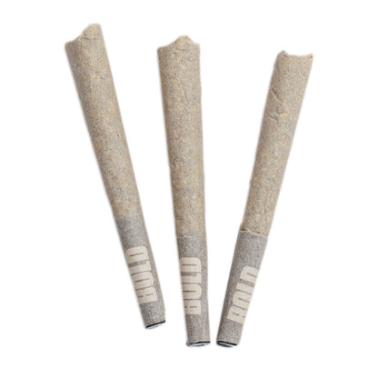 BOLD Root Beer Float Pre-Roll | Smokey's