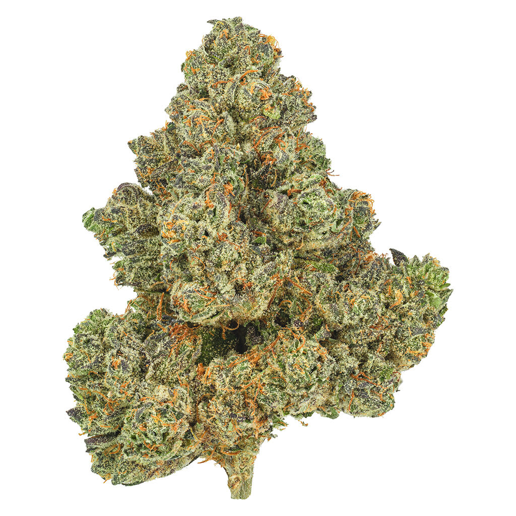 San Rafael '71 Ponderosa Pine | Smokey's