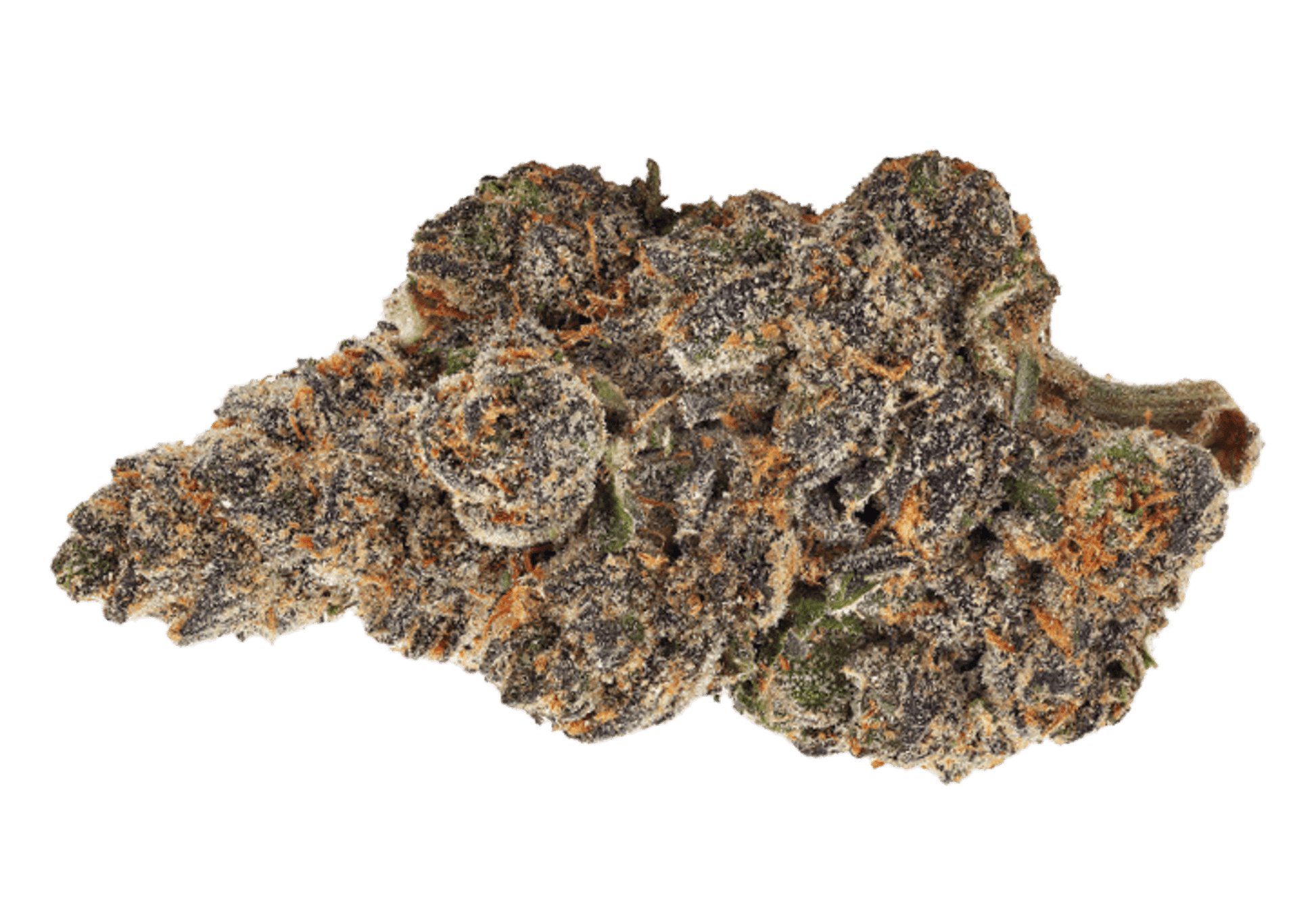 Bud Lafleur Deep Mandarine | Smokey's