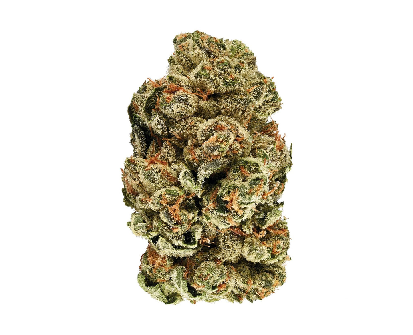 3Saints Kush Cookies | Smokey's