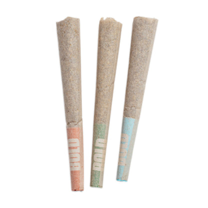 BOLD Craft Sampler Pre-Roll | Smokey's