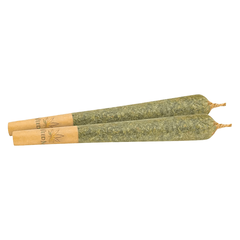 Weed Me Jack Herer Pre-Roll